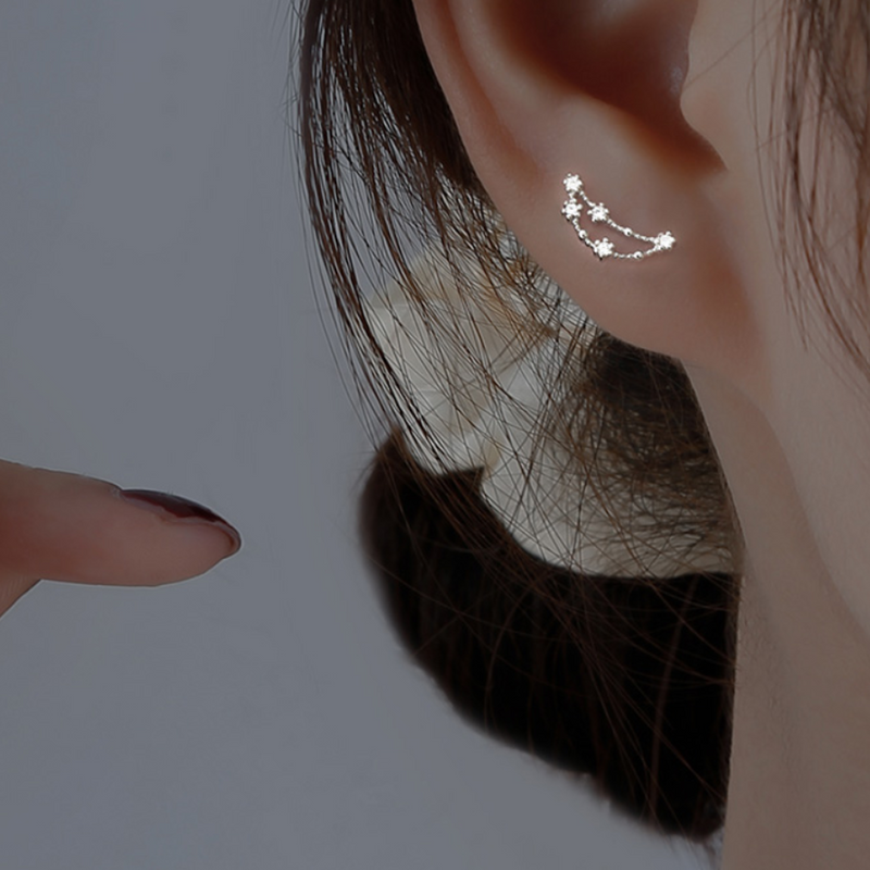 order」*12 constellation pierce p120 – uluu - jewelry & accessory -