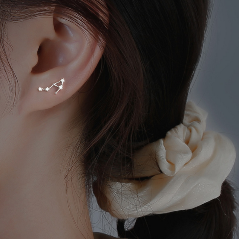 order」*12 constellation pierce p120 – uluu - jewelry & accessory -